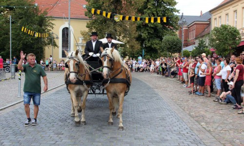 20190811_550P_024021