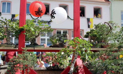 20190811_550P_024100