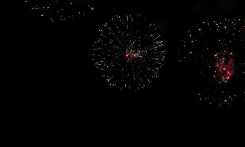 20190811_550P_024284