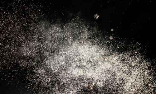 20190811_550P_024371