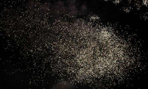 20190811_550P_024372