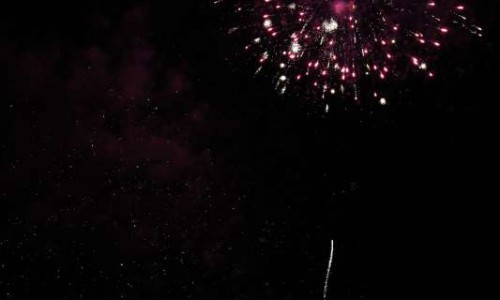 20190811_550P_024374