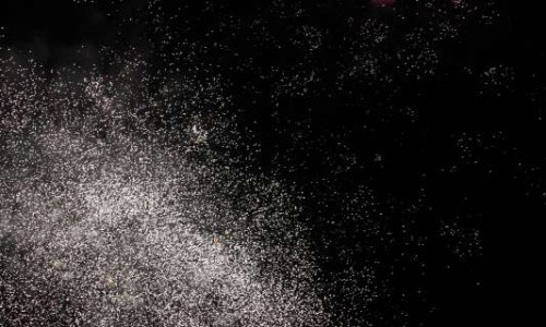 20190811_550P_024377