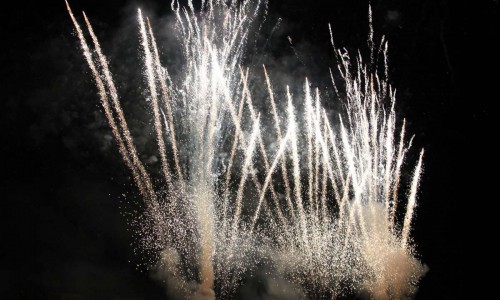 20190811_550P_024381