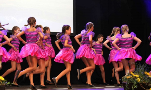 20190808_550P_023216