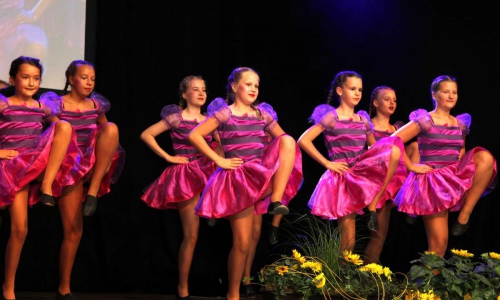 20190808_550P_023217