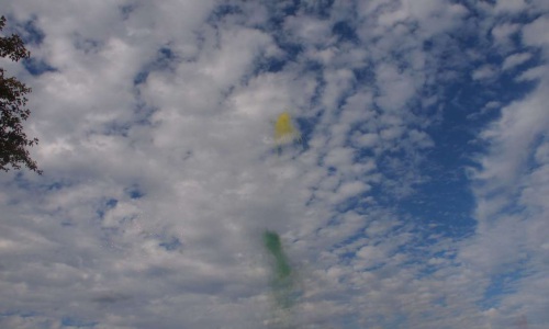 OLYMPUS DIGITAL CAMERA