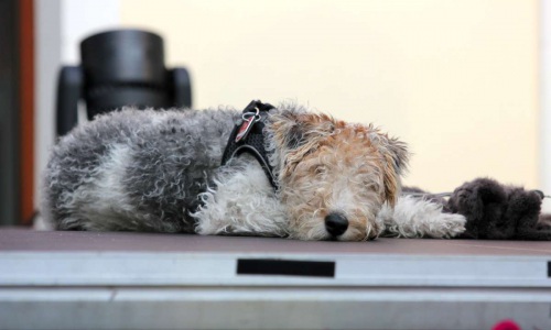 20190805_550P_022376