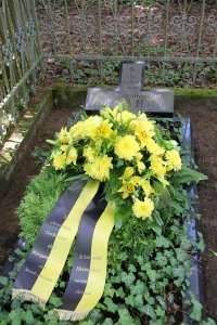 20170806 550P 013517