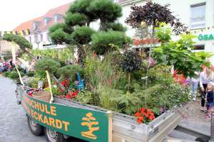 20170813 550P 015334