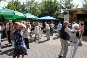 20170814 550P 015666