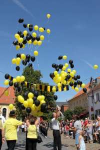 20180812 550P 020063