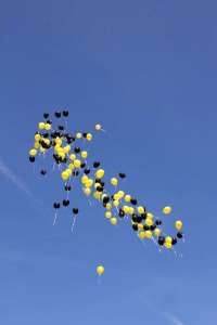 20180812 550P 020065