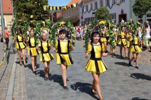 20180812 550P 020078