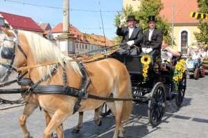 20180812 550P 020112