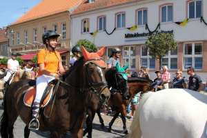 20180812 550P 020193