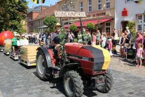 20180812 550P 020195