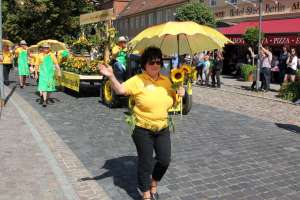 20180812 550P 020199