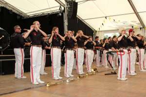 20180812 550P 020394